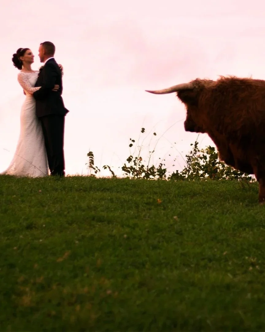A bride and groom in wedding attire embracing each other on a grassy hilltop at sunset at Rivercrest Farms, with a large bison or buffalo standing nearby, looking towards them.
