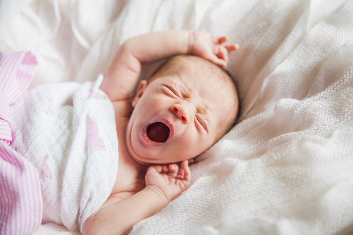 newborns90.jpg