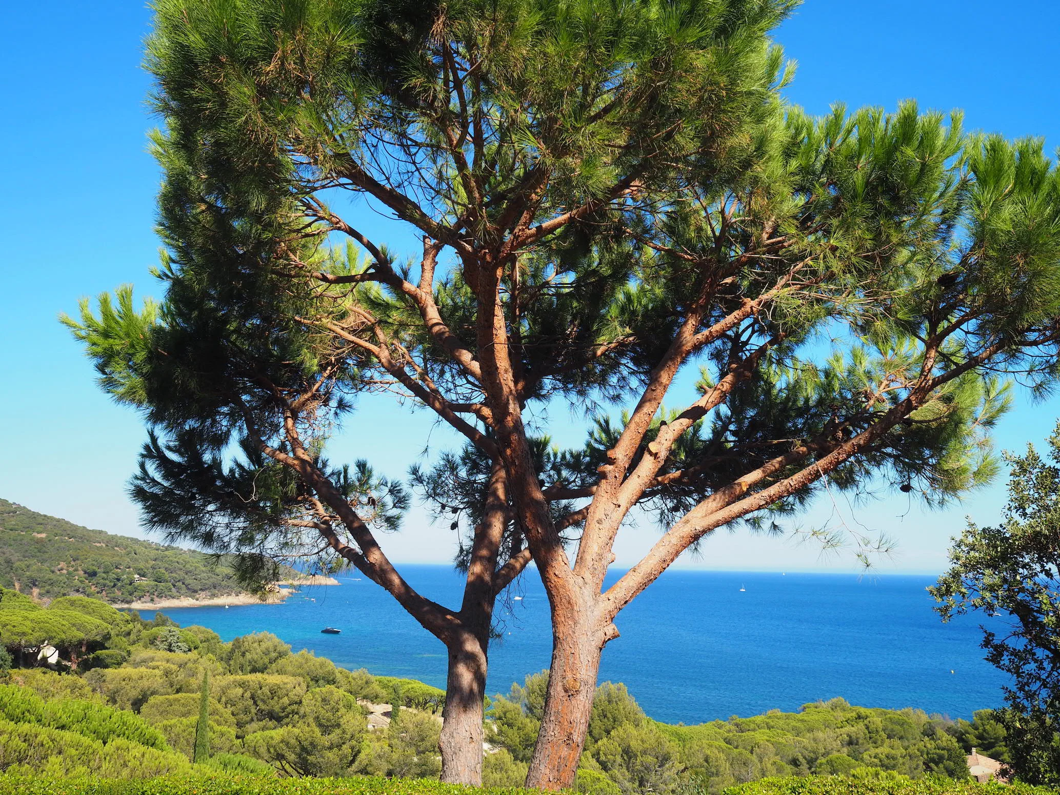 Review: La Reserve, St Tropez