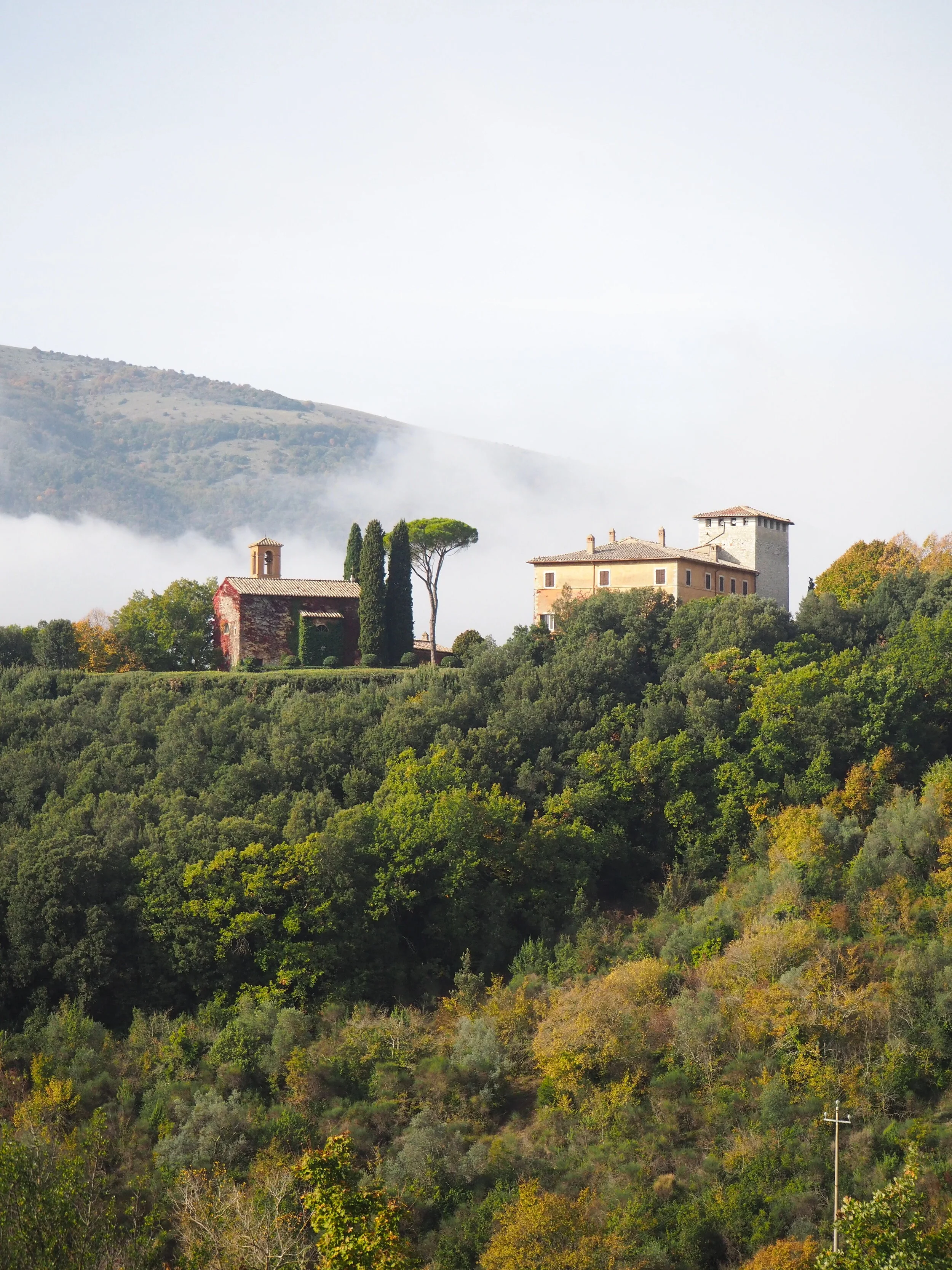Tatler: Truffle Season in Umbria