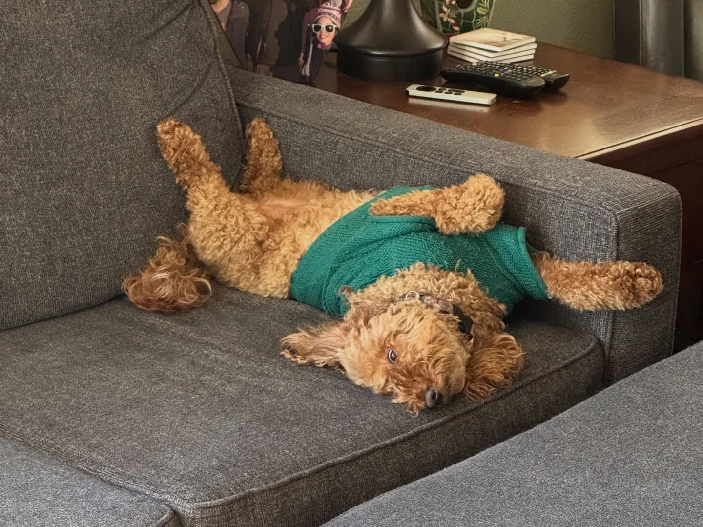 The holidays are exhausting&hellip; 😁🎄