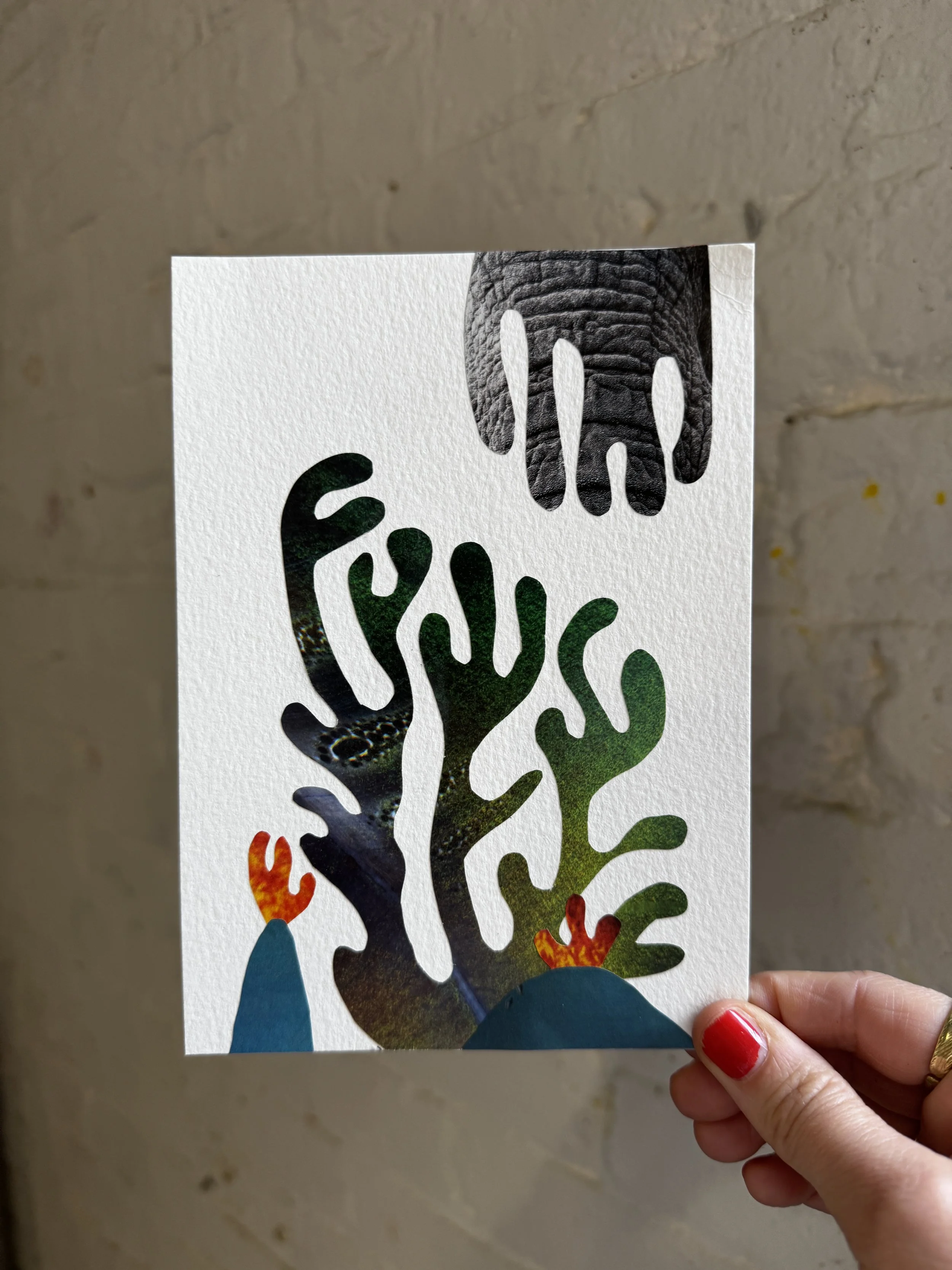 Echoes of Elsewhere #104