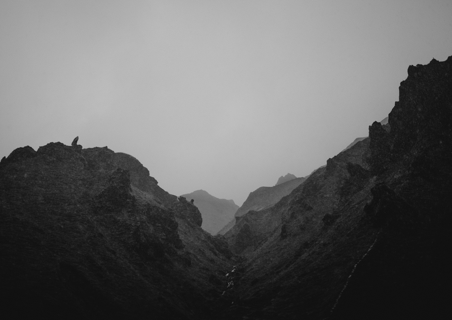 _G9C2580.jpg
