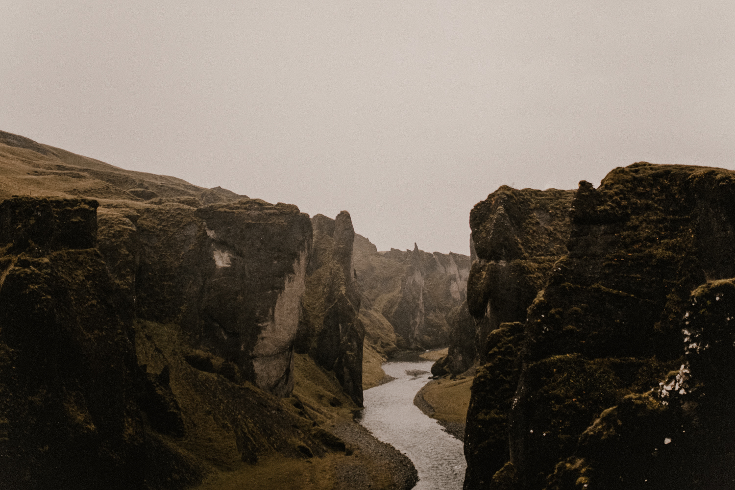 _G9C2645.jpg
