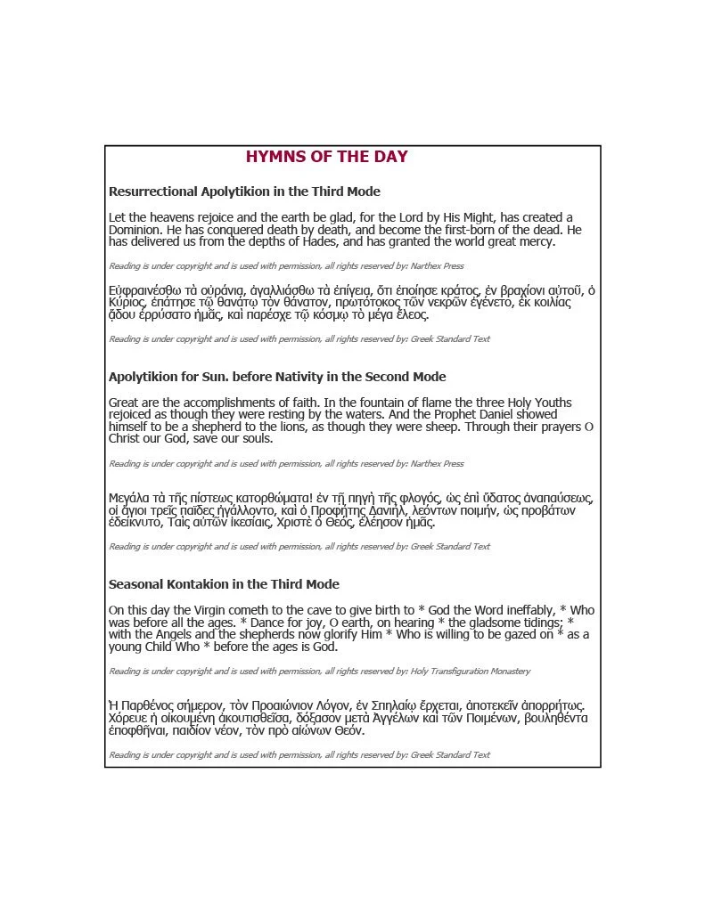 1766165389112-bcbc8b16-beec-421c-a99a-eacba4d20b8225 rev_2.jpg