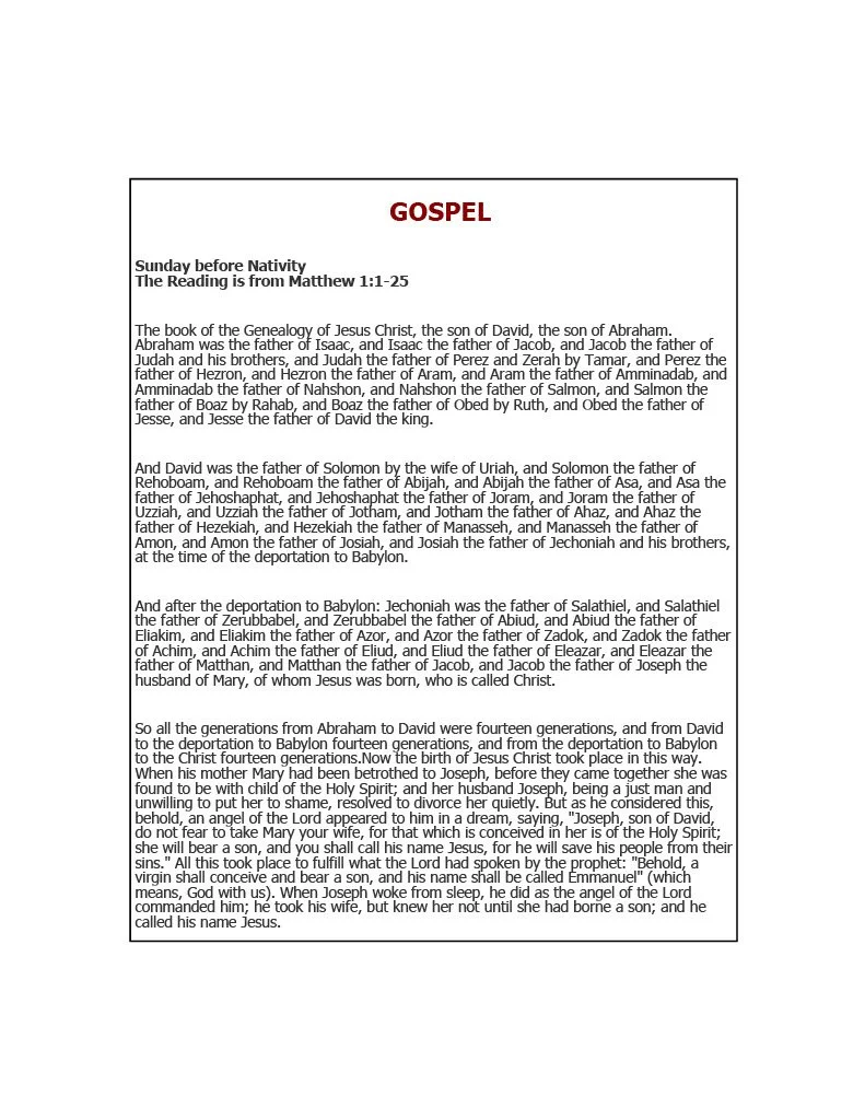 1766165389112-bcbc8b16-beec-421c-a99a-eacba4d20b8225 rev_4.jpg