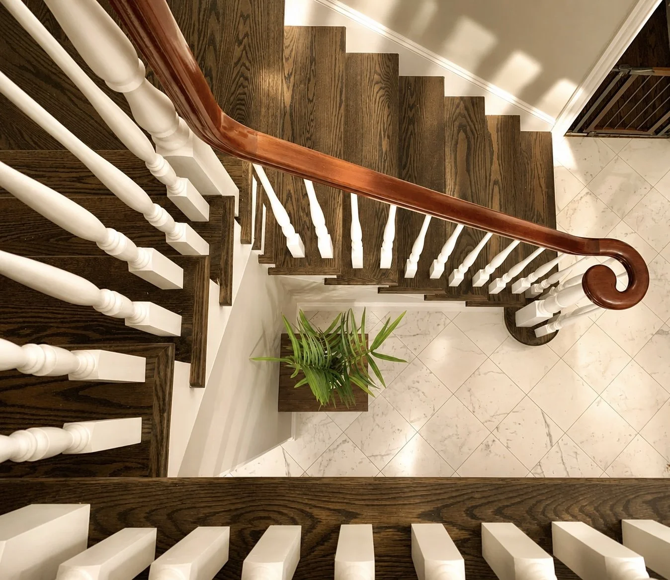 View of a staircase with dark wooden steps, white balusters, a polished wood handrail, and a potted plant at the bottom, taken from above.