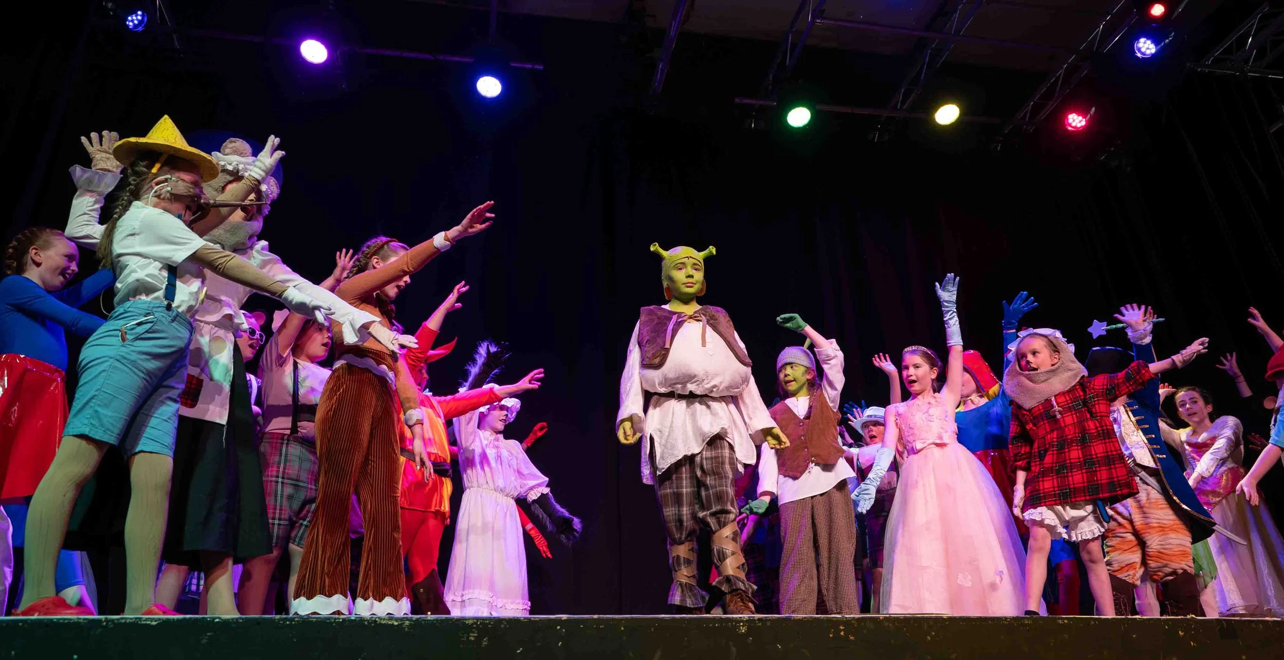 Project Theatre — Work with us