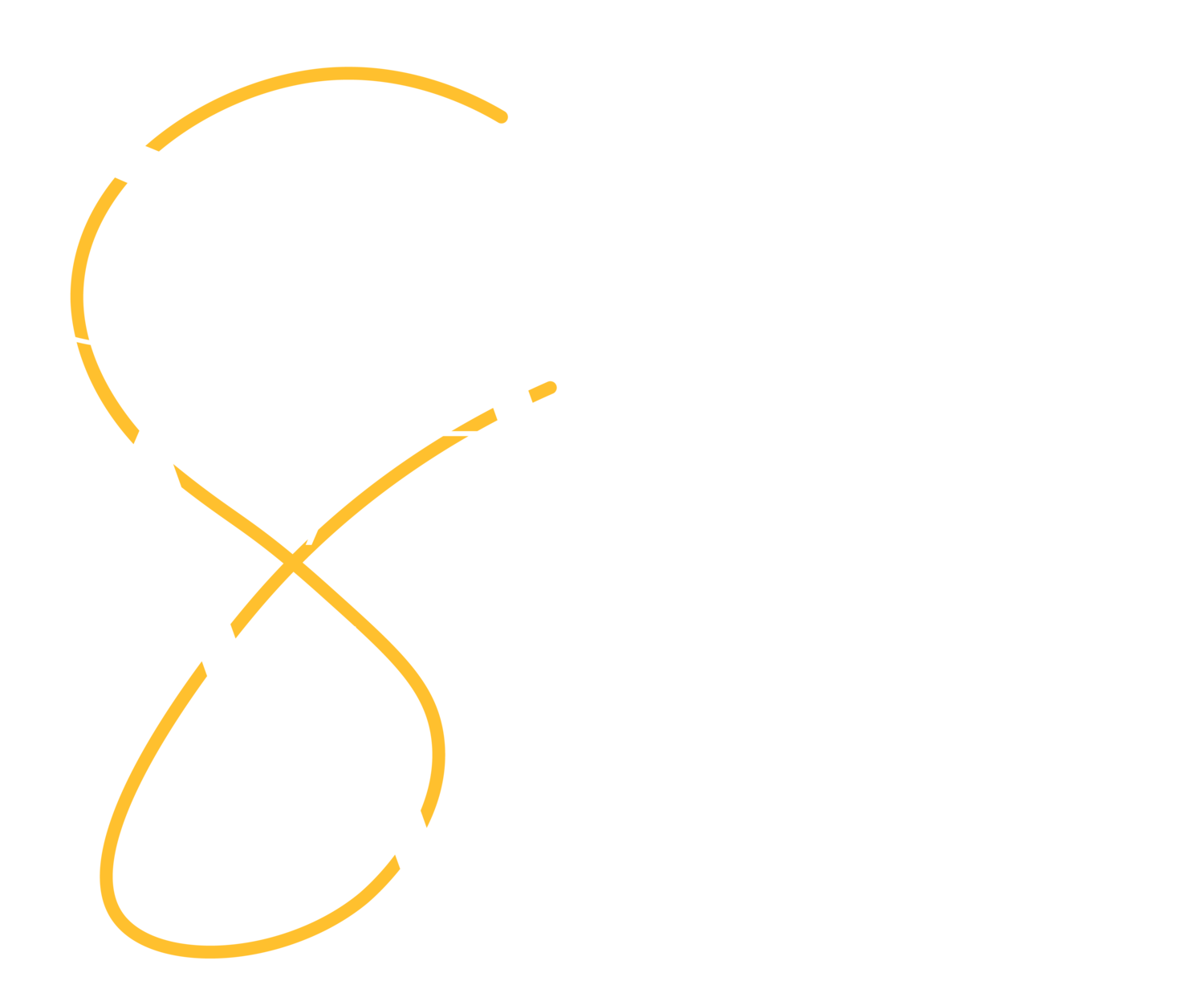SAAV Media