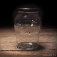 fireflys in Jar.jpg