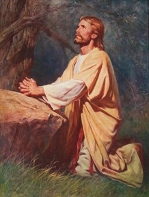 Jesus in Gethsemane.jpg