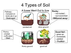 Sower seeds-soil.jpg