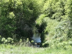 Pony Creek Iowa.jpg