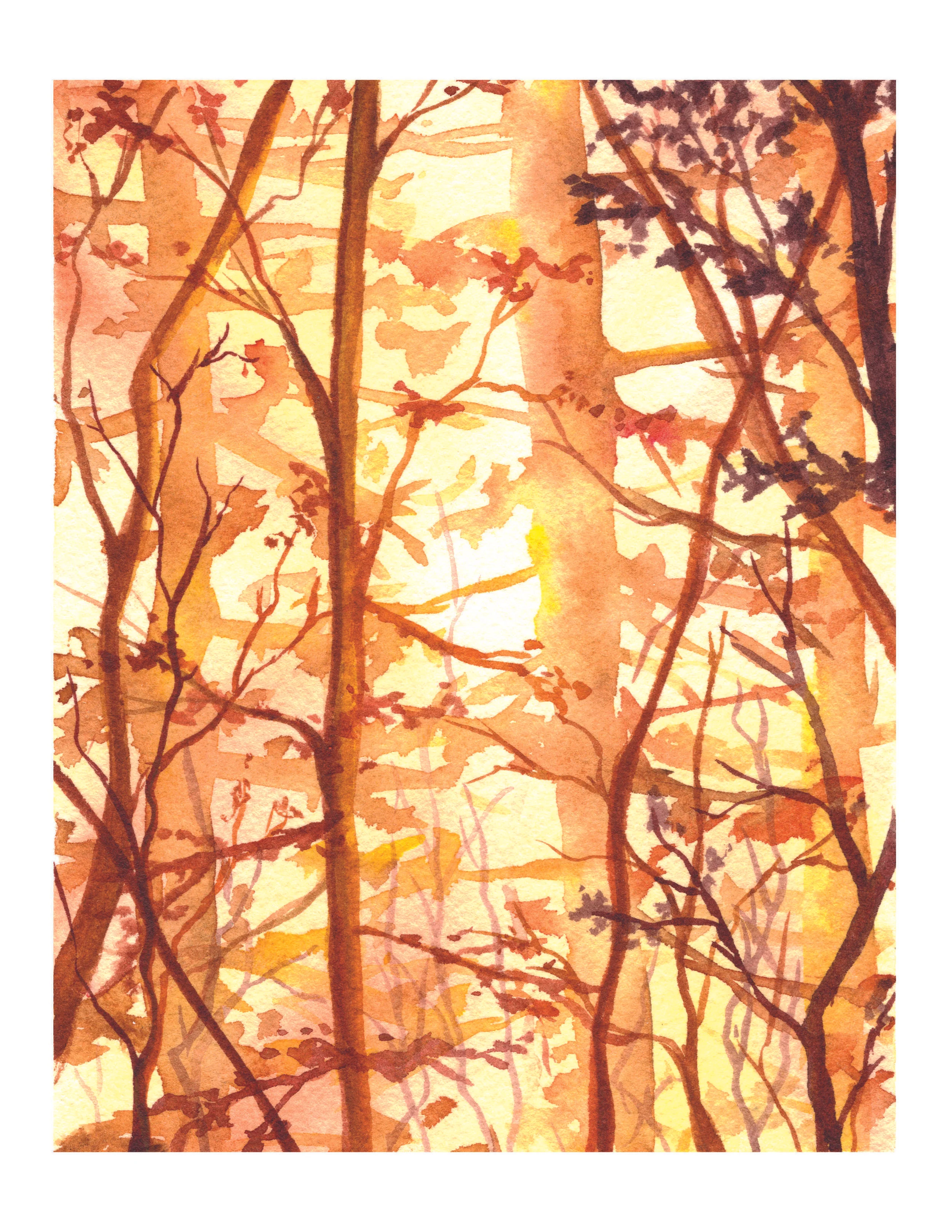 Let the Sunshine In