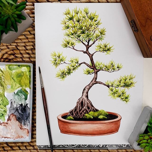 I've been working on a few bonsai tree paintings here and there but haven't really had time to finish any besides this one. I painted one very similar in my sketchbook a few months back, but never finished the sketchbook spread before I moved on to r
