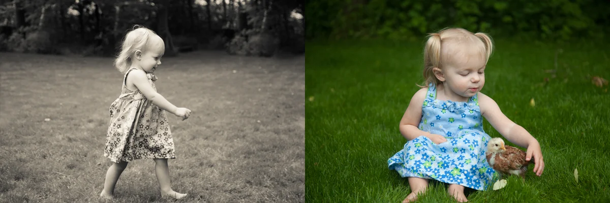Kids-Chicks-composite-3.jpg
