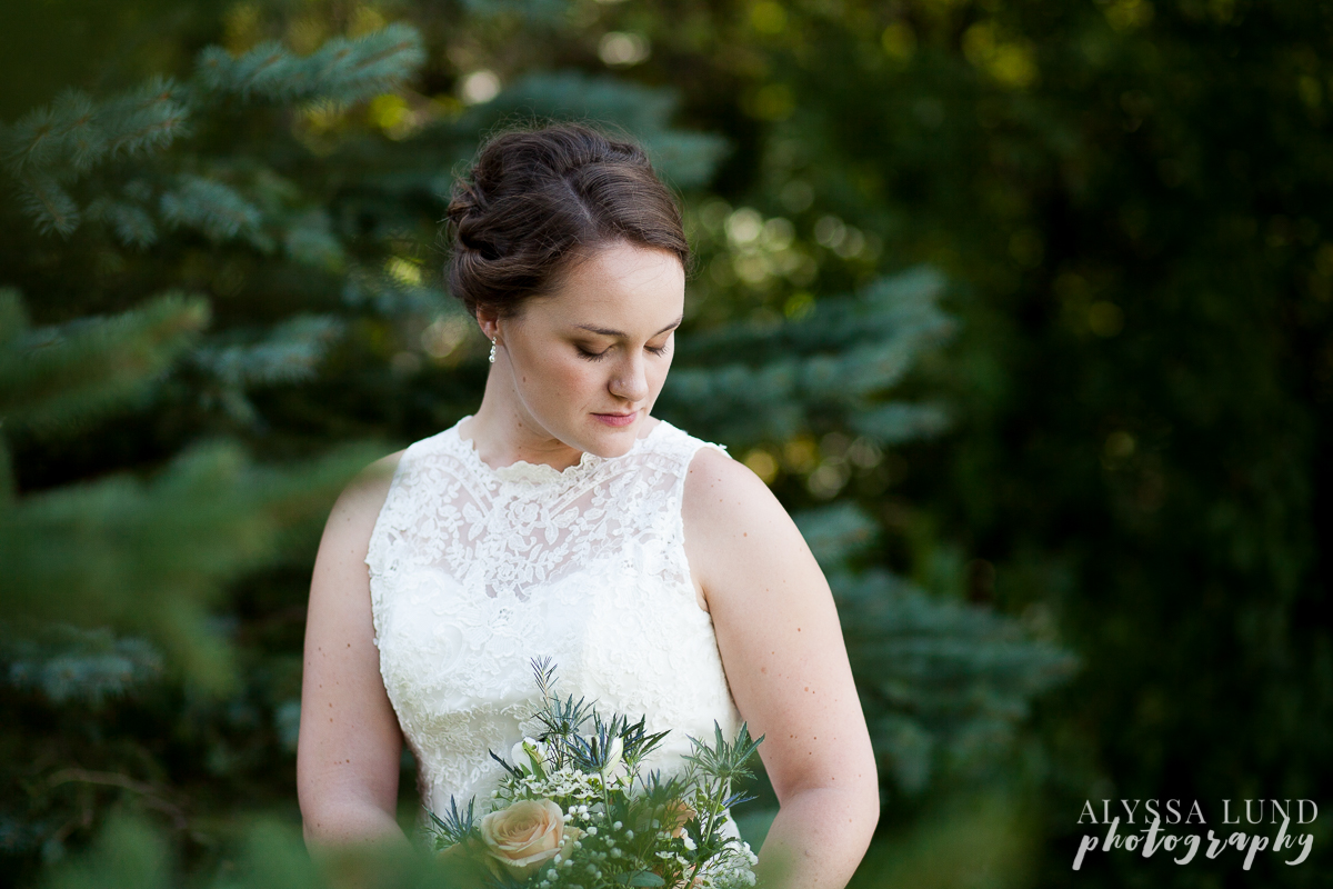 Bridal portrait in pine trees
