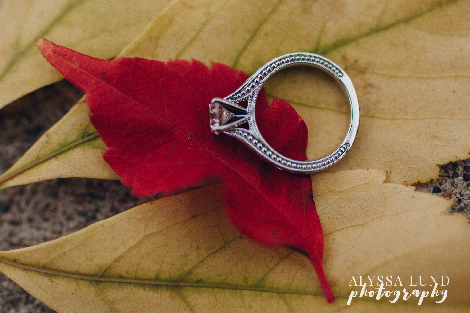 St. Paul Fall Engagement session ring detail on leaves