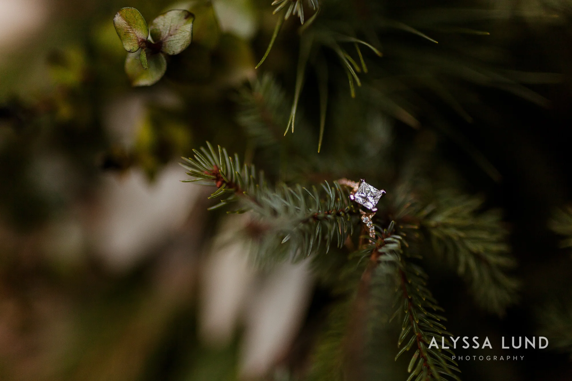 Minneapolis Proposal Photographer-11.jpg