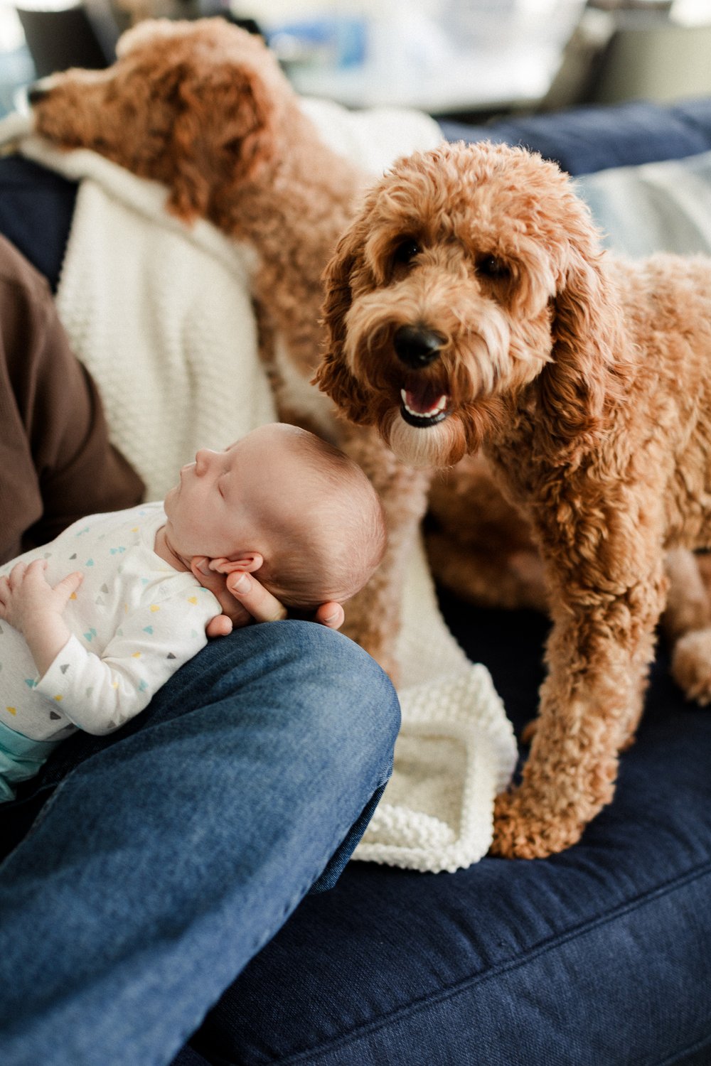 lifestyle in home newborn session Minneapolis-34.jpg