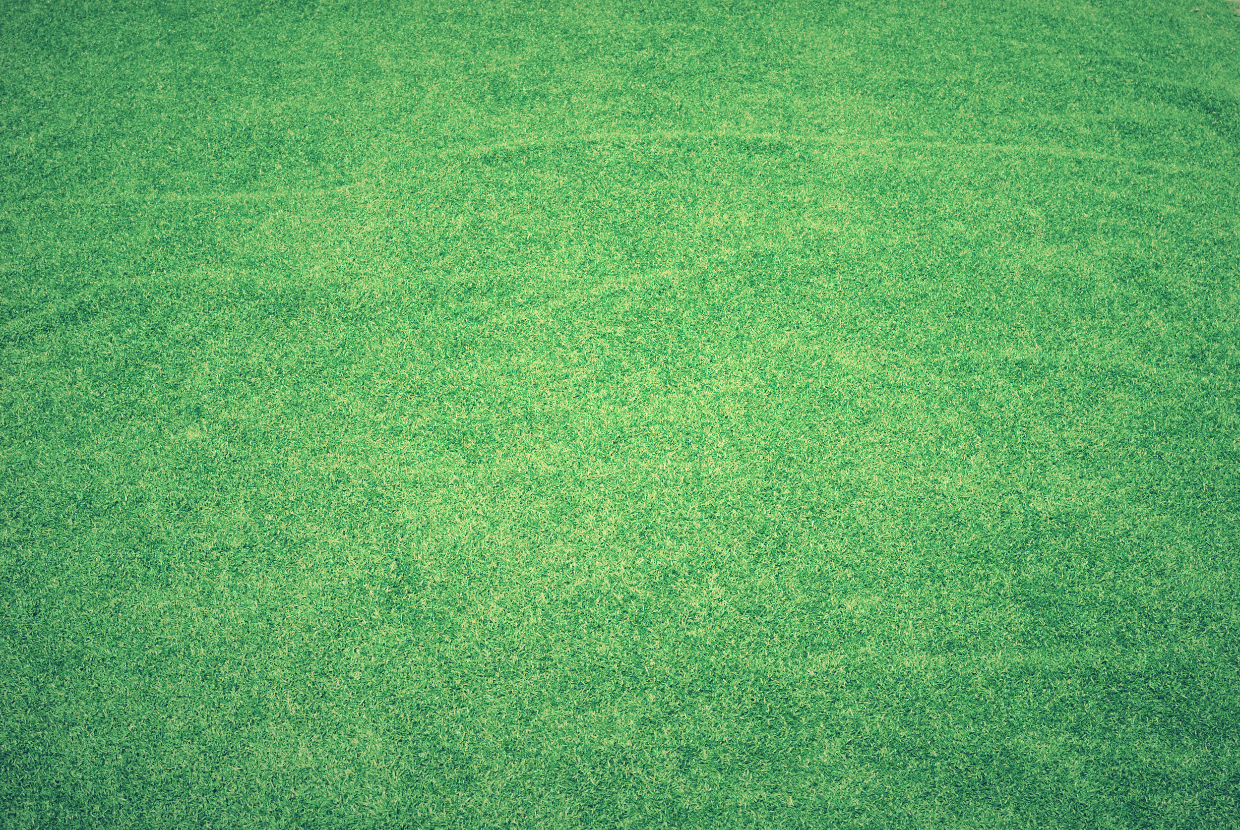 green pexels-photo-131634.jpg