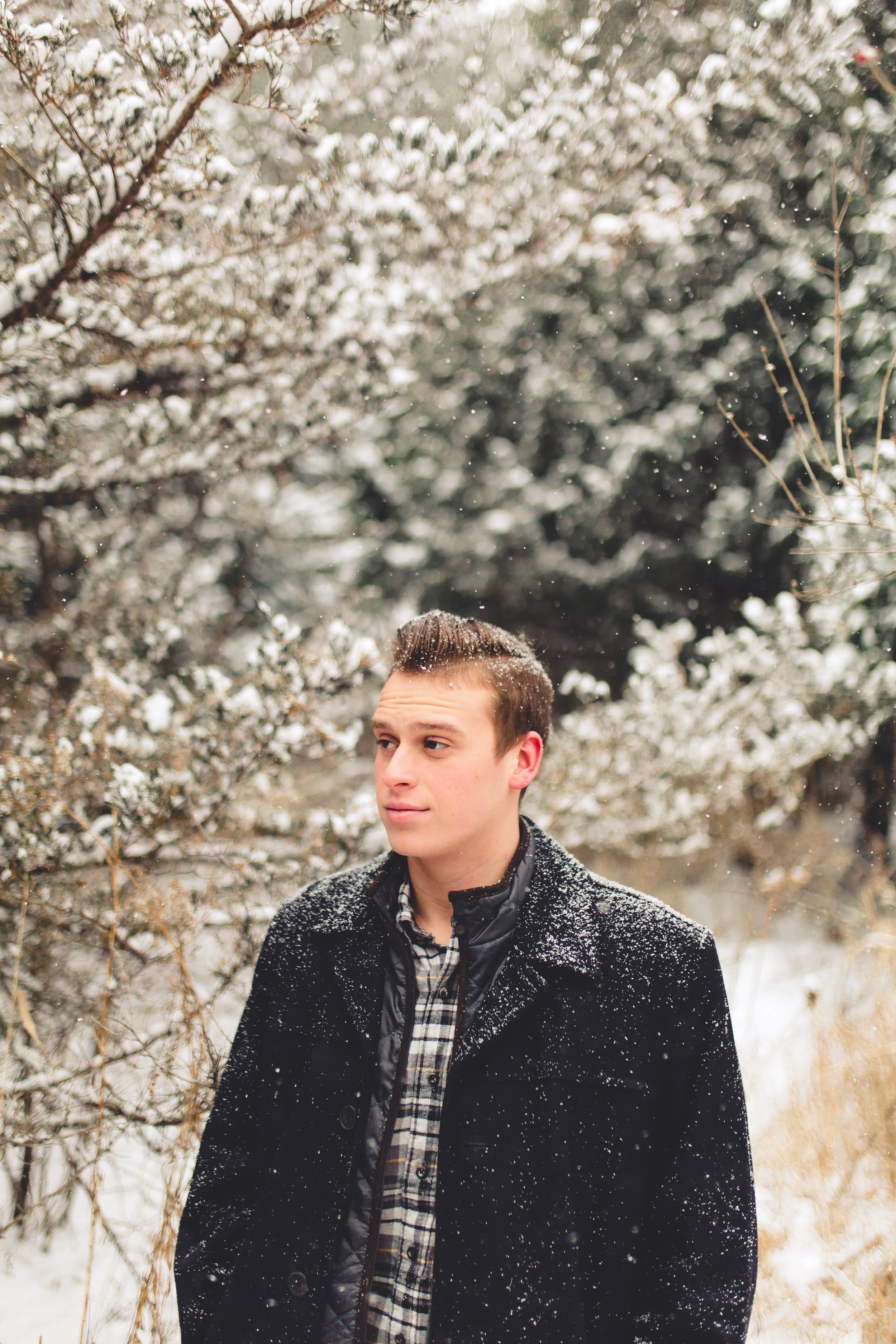 tj maxx tommy hilfiger shoes