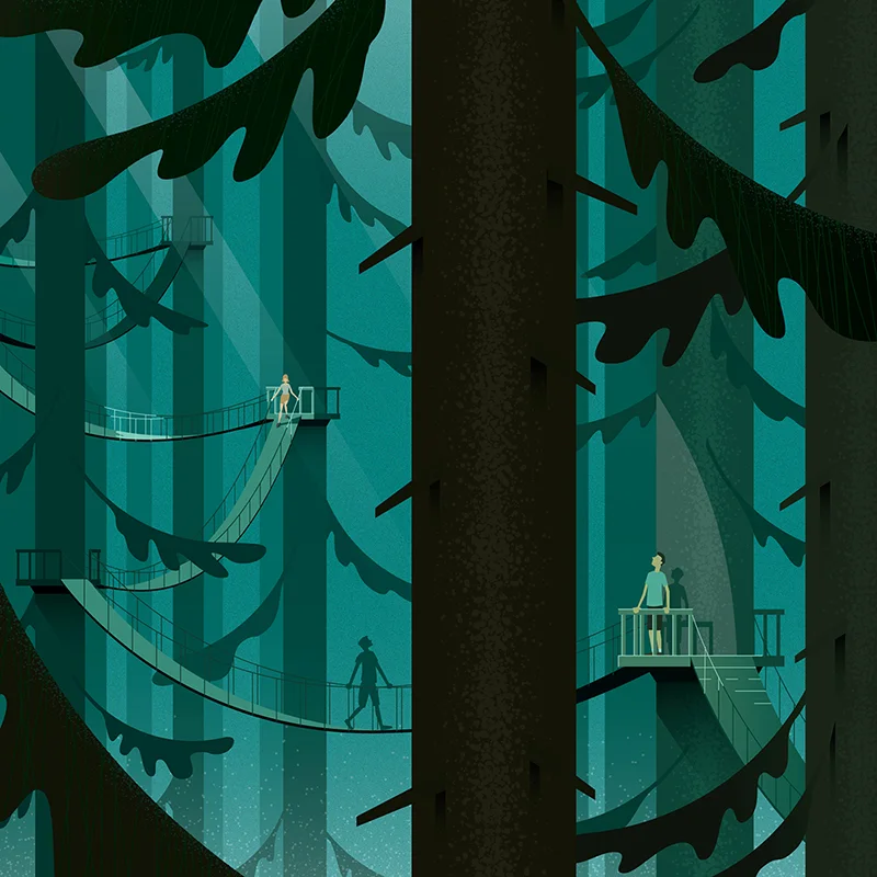 forest walk.jpg