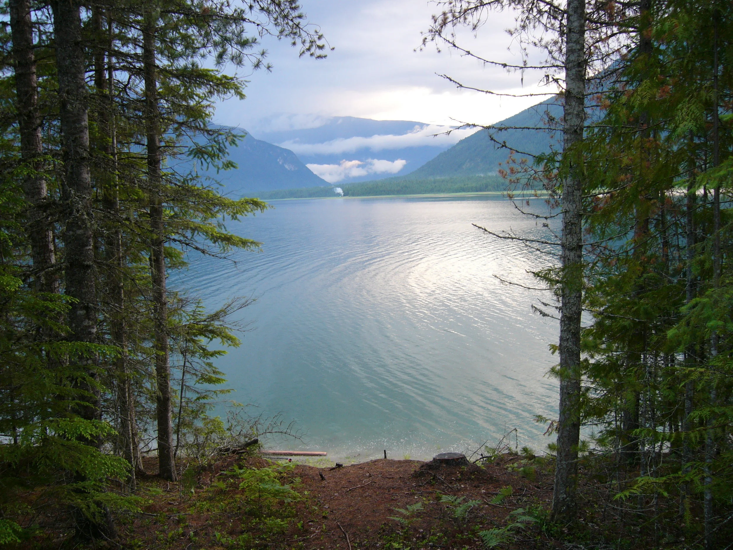 Arrow Lake Campsite View .jpg