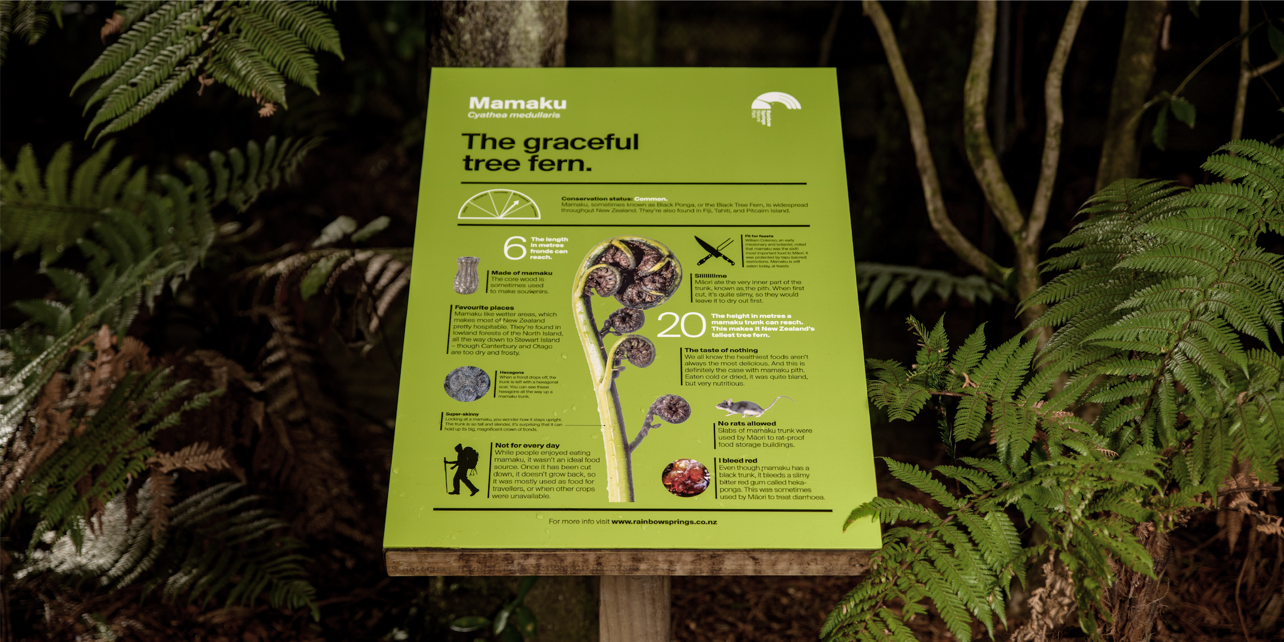 20180706_THOUGHTFULL_CS_RAINBOW_SIGNAGE_10_C2.png
