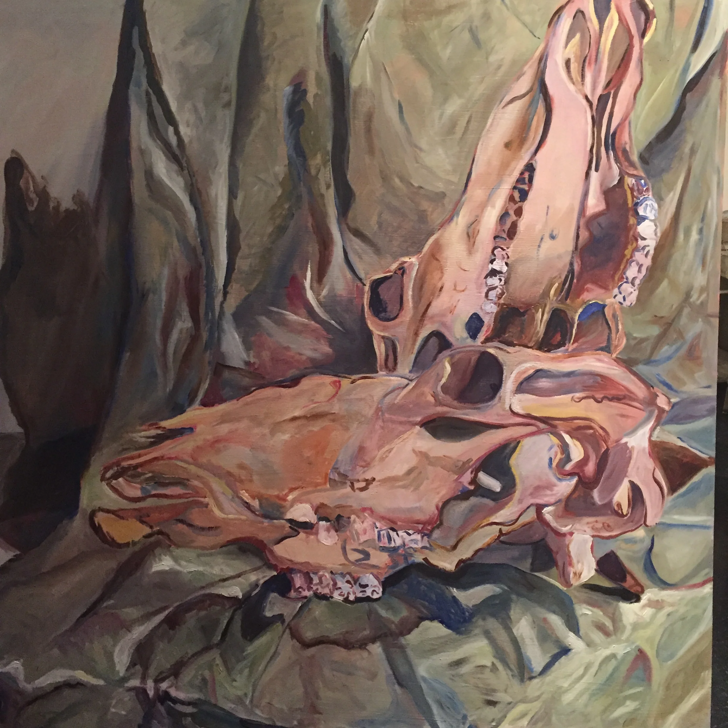 6 Foot X 6 Foot Skulls