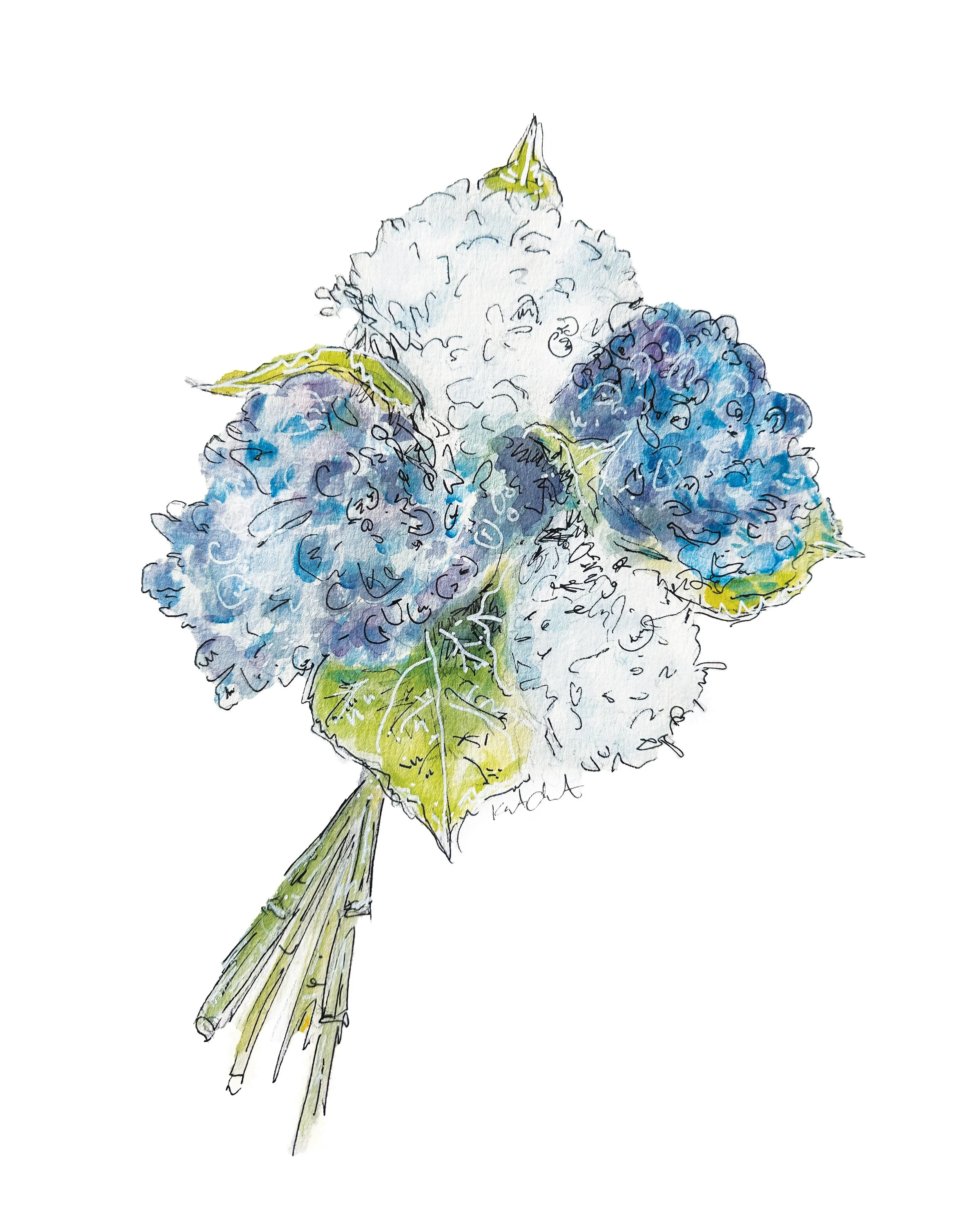 Hydrangea v2.jpg