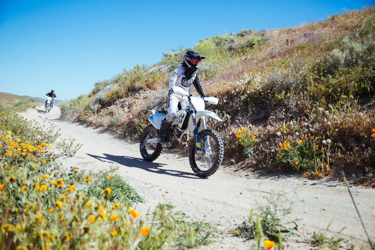 BABES IN THE DIRT136.jpg