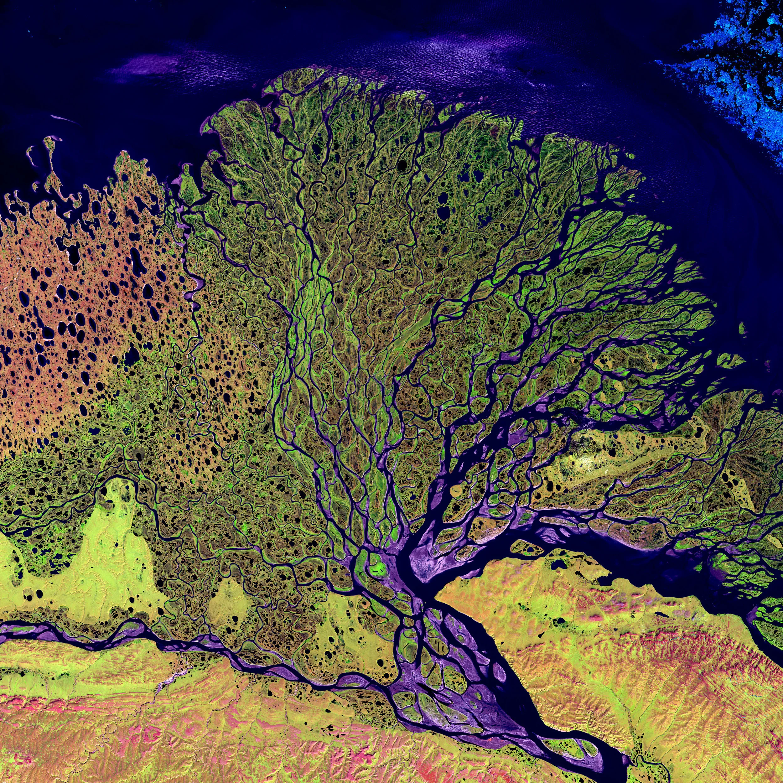 Official Launch of the Open Access Publication, Rivers of the Anthropocene