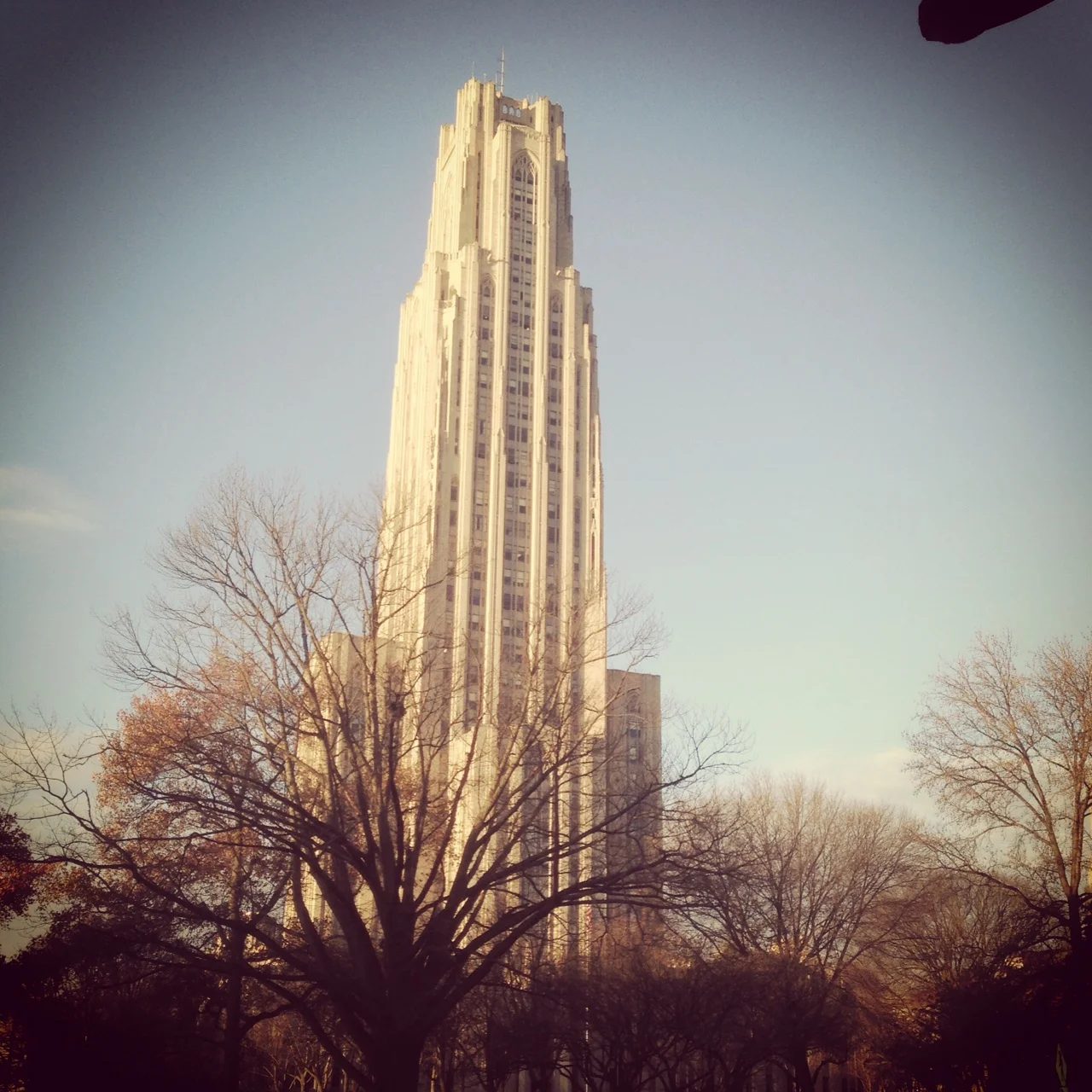 Early Modern Network Ontologies