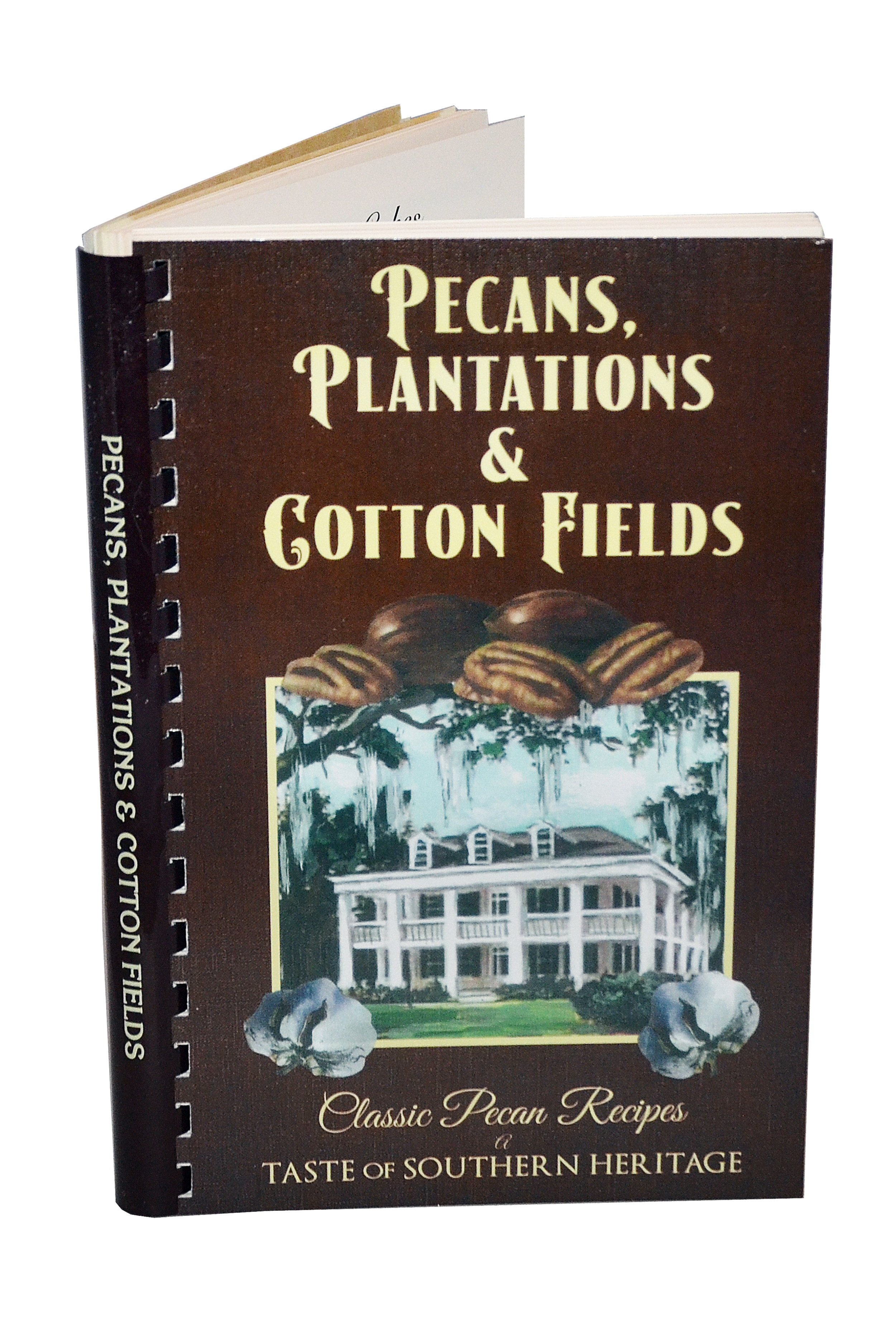 Pecans_Plantations_CottonFields_2048x@2x (1).png