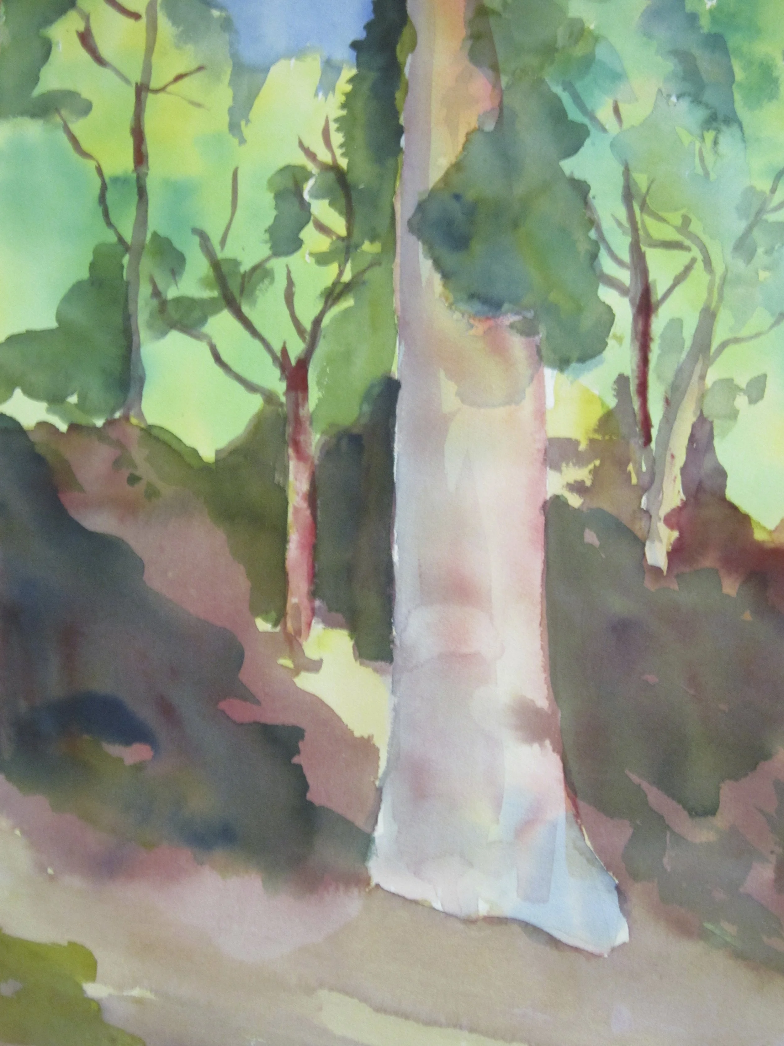 Enchanted Forest