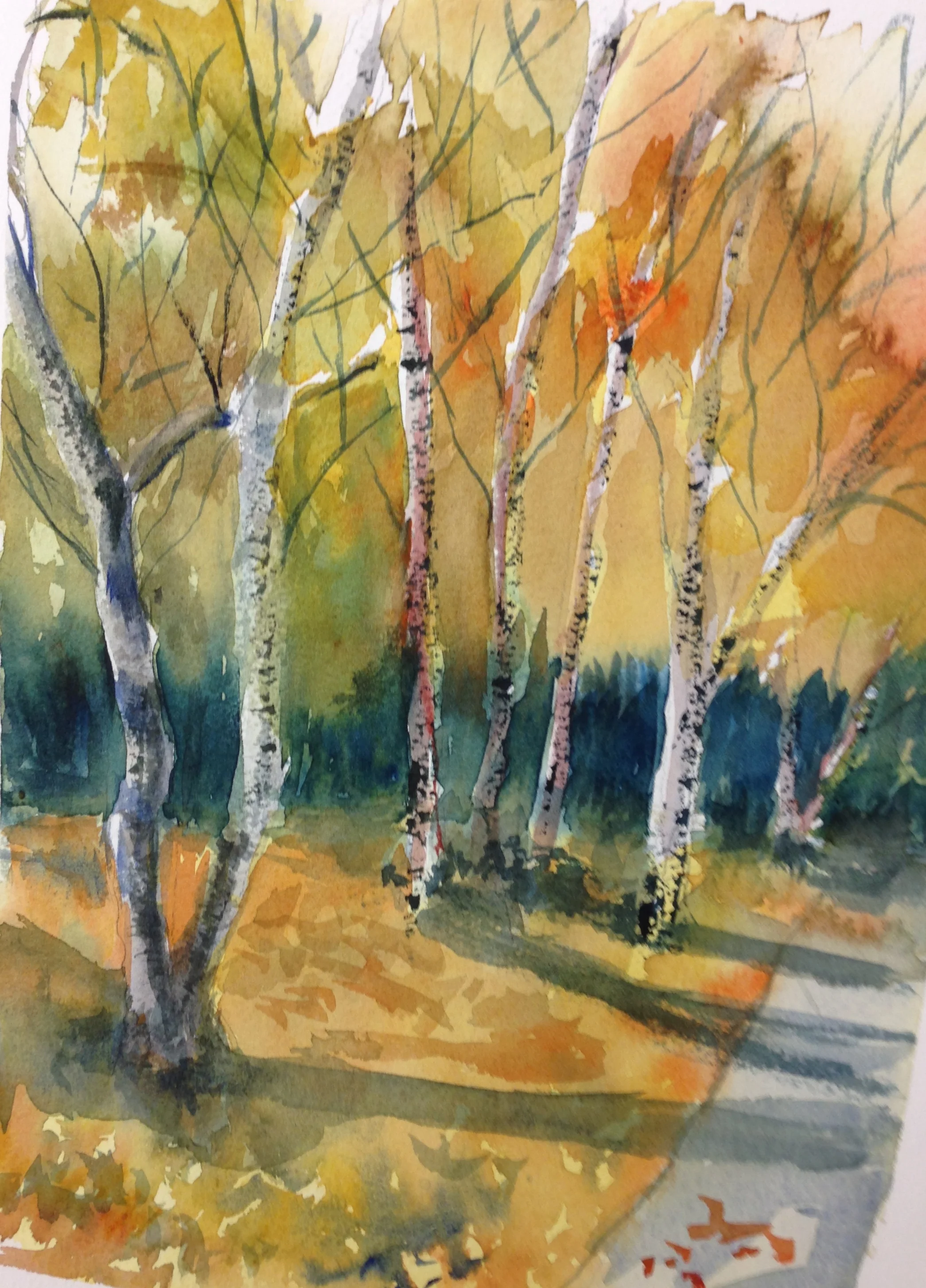 Birches on Cedar