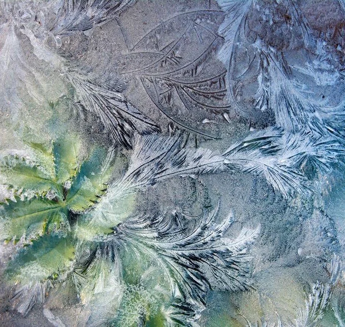 Best Links of the Week: February 10, 2018