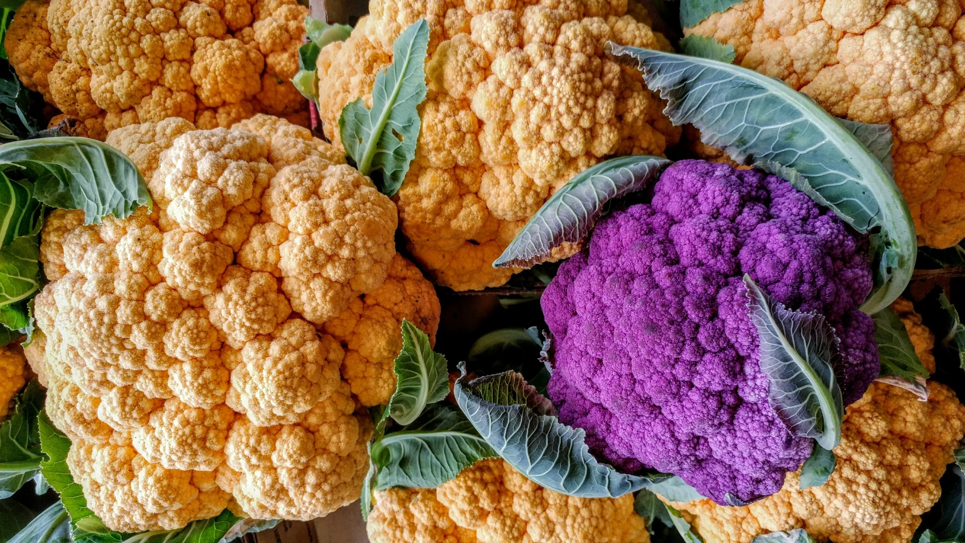 colored-cauliflower.jpg