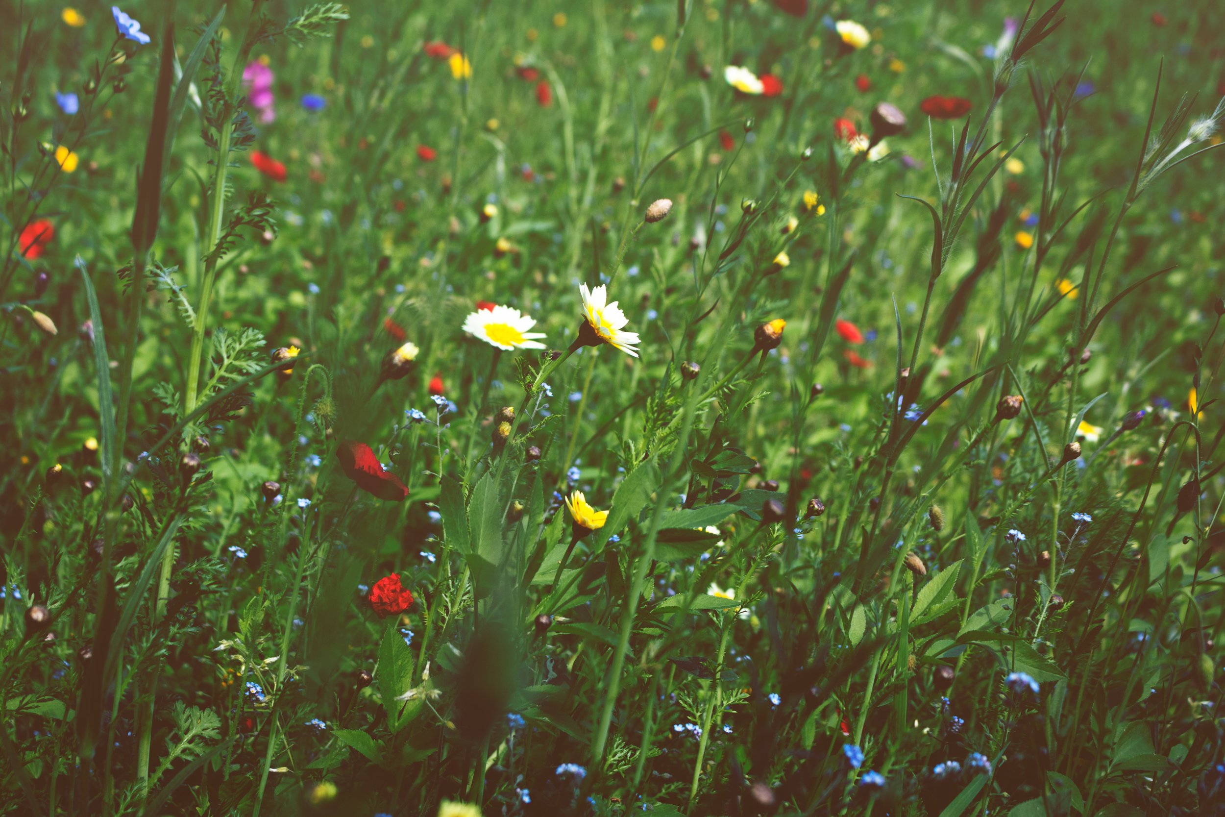Photo by mvp&nbsp;on Unsplash