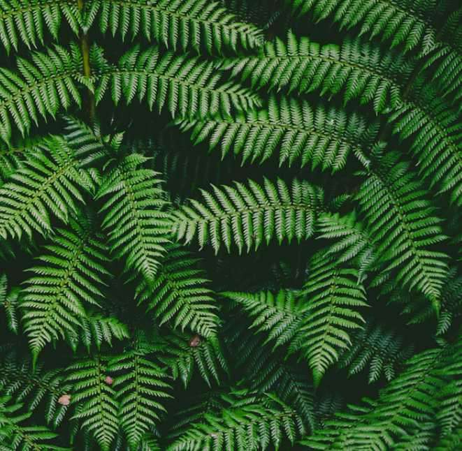 Best Links of the Week: June 23, 2018