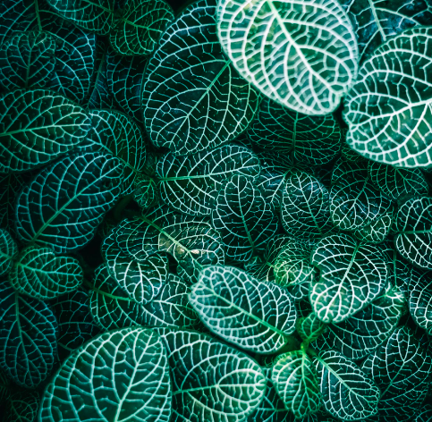 Best Links of the Week: July 28, 2018