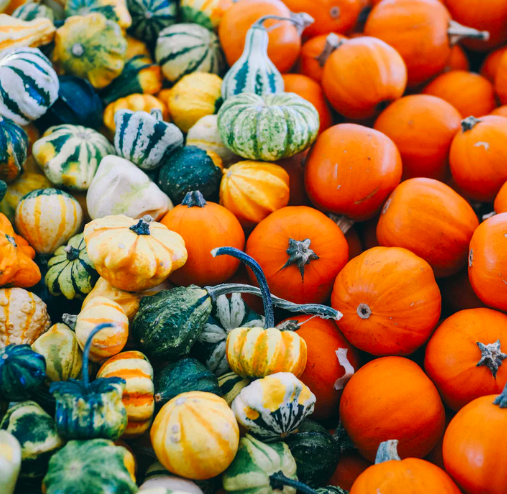 The Best Links of the Week: November 24, 2018