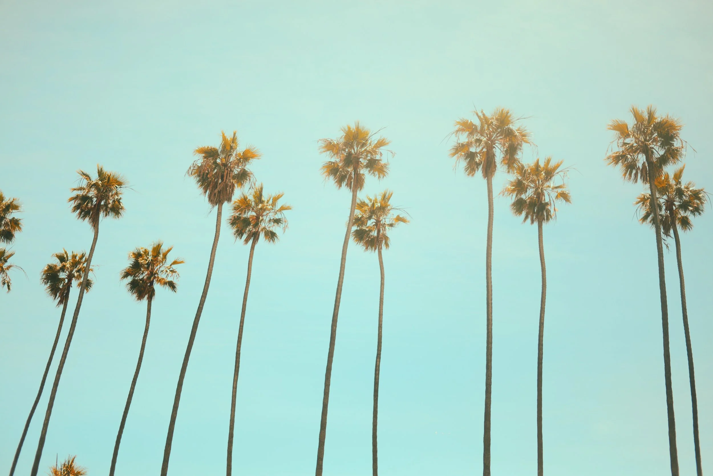 Photo by Julian Howard on Unsplash