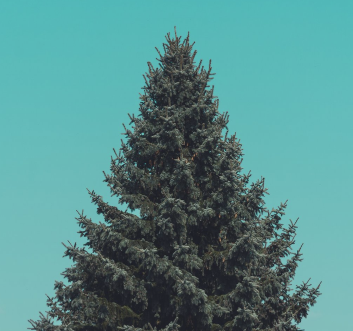 Best Links of the Week: December 29, 2018