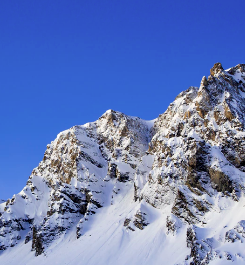 Best Links of the Week: January 12, 2019
