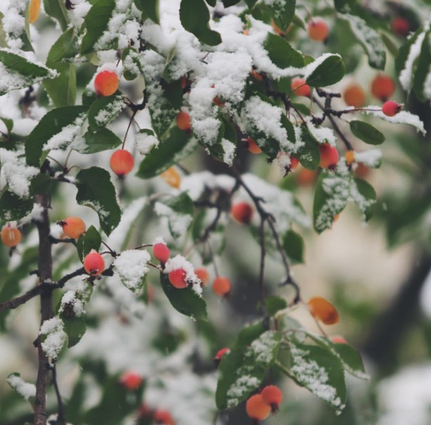Best Links of the Week: February 2, 2019
