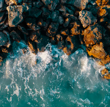 Best Links of the Week: February 23, 2019