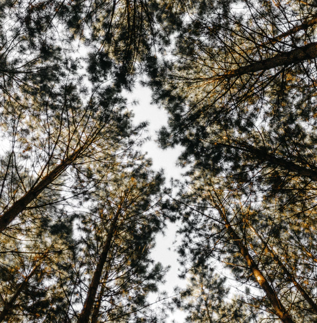 Best Links of the Week: March 30, 2019