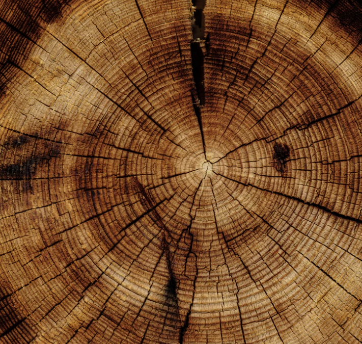 Best Links of the Week: April 6, 2019